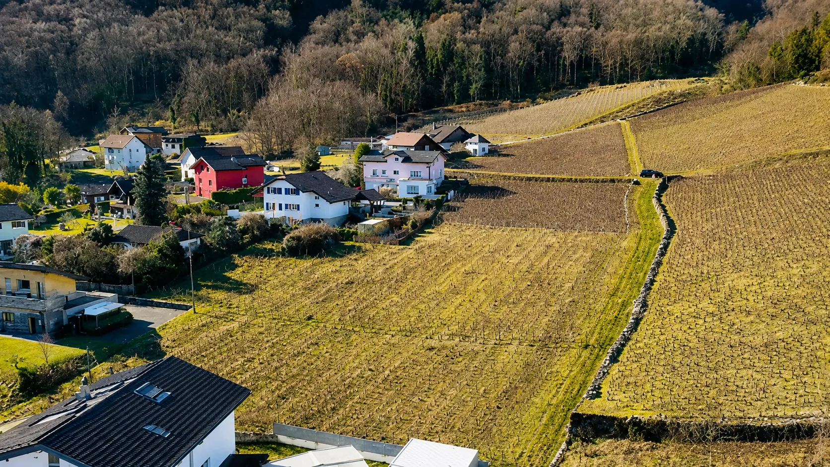 Vue aérienne du village et des vignobles aux Évouettes